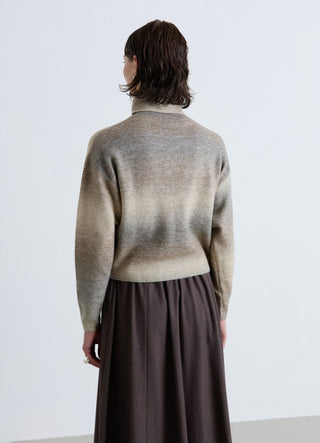 Faded turtleneck sweater