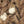 SW-SAB0084575001-SE96.jpg