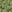 SW-SAB0085795001-S998.jpg