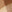 SW-SAB0089225001-S168.jpg