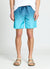 Beach shorts with a gradient pattern