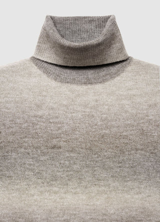 Faded turtleneck sweater