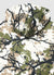 Sweat oversize à capuche avec imprimé camouflage