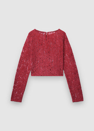 Flocked lace blouse